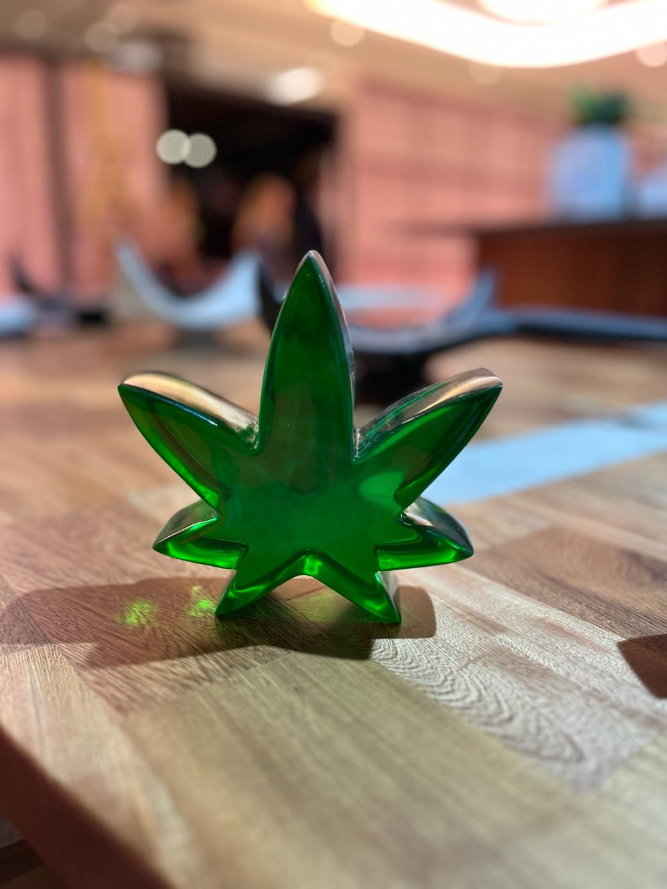 Cannabis planta